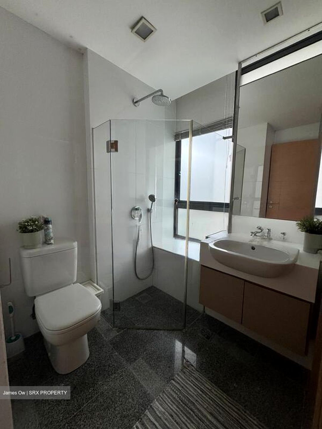 Illuminaire On Devonshire (D9), Apartment #632472731